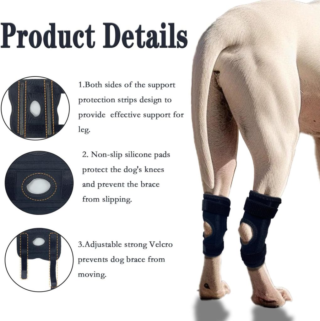 KEDAO Dog Leg Brace for Front Back Rear Hock  Ankle, Dog Leg Brace with Spring Strips Wraps, Compression Brace for Torn ACL Wound Care and Loss of Stability from Arthritis 1 Pair M