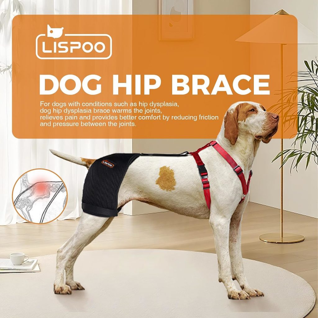 LISPOO Dog Hip Support Brace for Hip Dysplasia, Arthritis and Hip Pain,Dog Hip Brace Provides Hip Joint Support, Relieves Hip Pain,Dog Hip Dysplasia Brace(Extra Large)