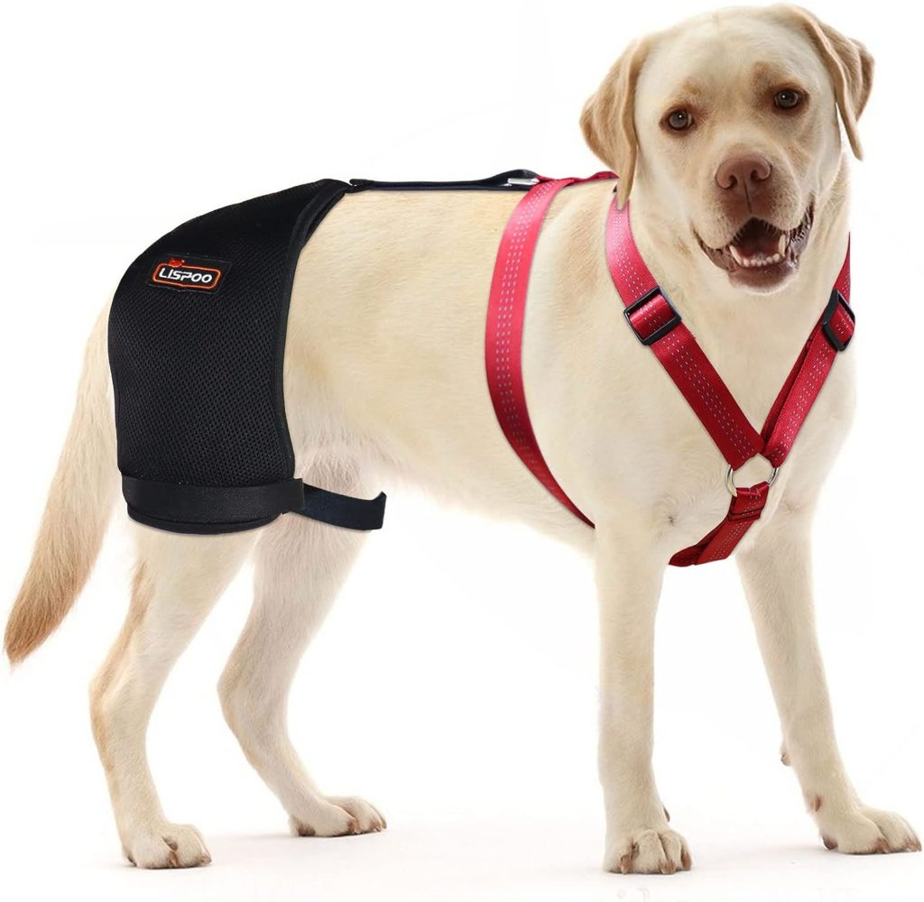 LISPOO Dog Hip Support Brace for Hip Dysplasia, Arthritis and Hip Pain,Dog Hip Brace Provides Hip Joint Support, Relieves Hip Pain,Dog Hip Dysplasia Brace(Extra Large)