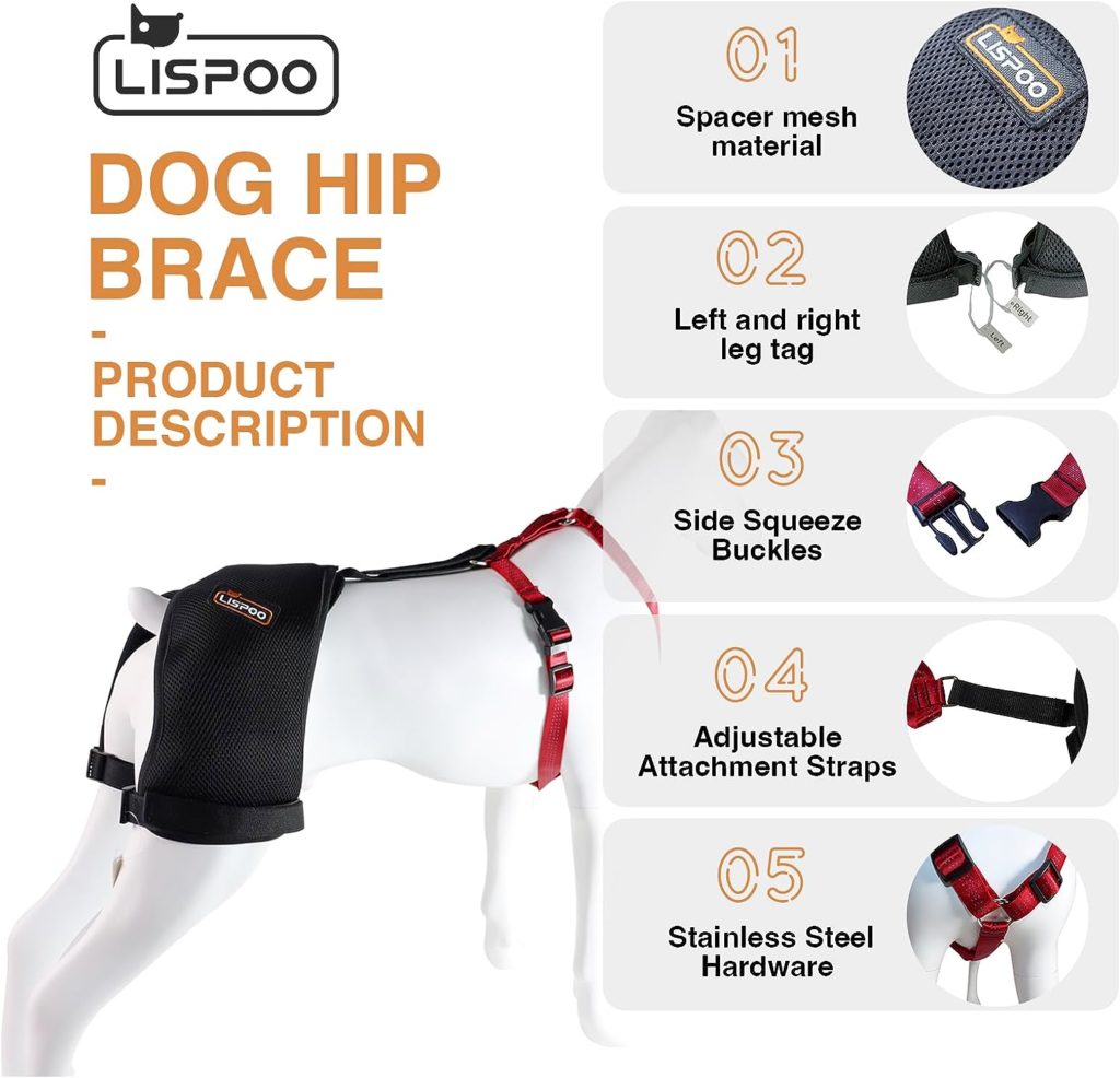 LISPOO Dog Hip Support Brace for Hip Dysplasia, Arthritis and Hip Pain,Dog Hip Brace Provides Hip Joint Support, Relieves Hip Pain,Dog Hip Dysplasia Brace(Extra Large)