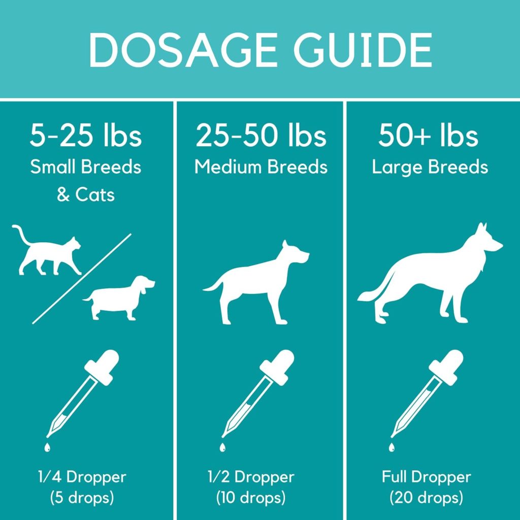 PB Pets Hemp Oil for Dogs and Cats - Organically Grown - Made in USA - Helps with Anxiety, Hip  Joint, Pain, Arthritis, and Stress - with Omega Complex (1-Pack)