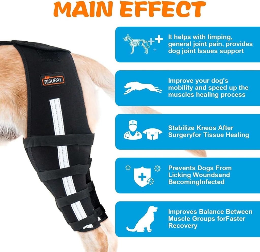 RISURRY Dog Knee Brace with Detachable Dog Chest Harness for Luxating Patella,Torn ACL,Arthritis,Cruciate Ligament,Support Brace for Dog Hind Leg Brace(Both Leg,XL)