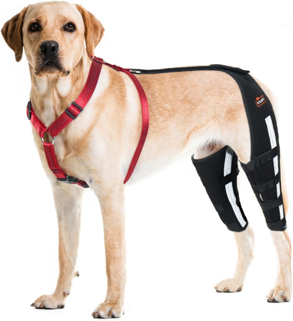 RISURRY Dog Knee Brace with Detachable Dog Chest Harness for Luxating Patella,Torn ACL,Arthritis,Cruciate Ligament,Support Brace for Dog Hind Leg Brace(Both Leg,XL)