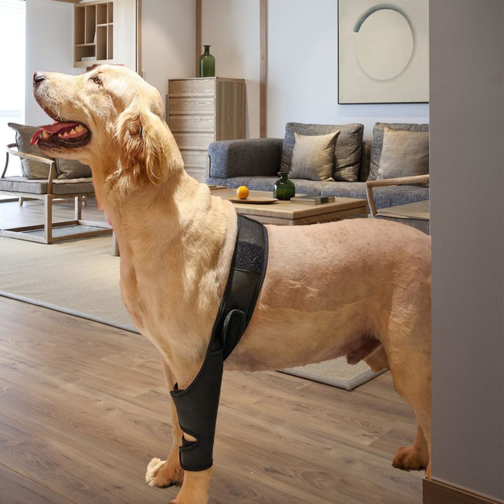 WUKUAJING Dog Knee Brace for Support with Cruciate Ligament Injury Better Recovery with Dog ACL Knee Brace Adjustable Rear Leg Braces for Dogs Patella Dislocation or Osteoarthritis(Lightweight-M)