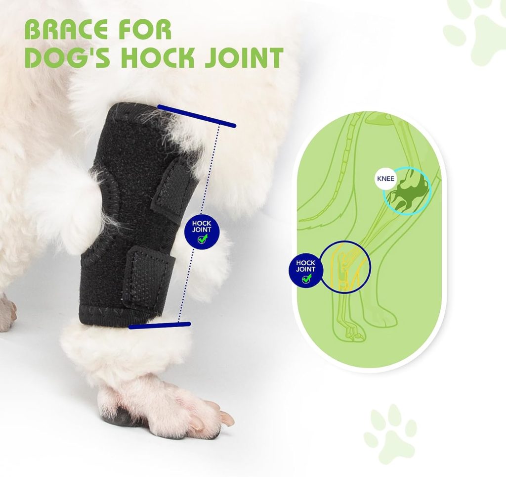 Xpetkit Dog Leg Braces for Back Leg, Dog Knee Brace Compression Support for Dog Joints and Legs, for Injury and Sprain Protection, Wound Care and Arthrit Stability (Middle)