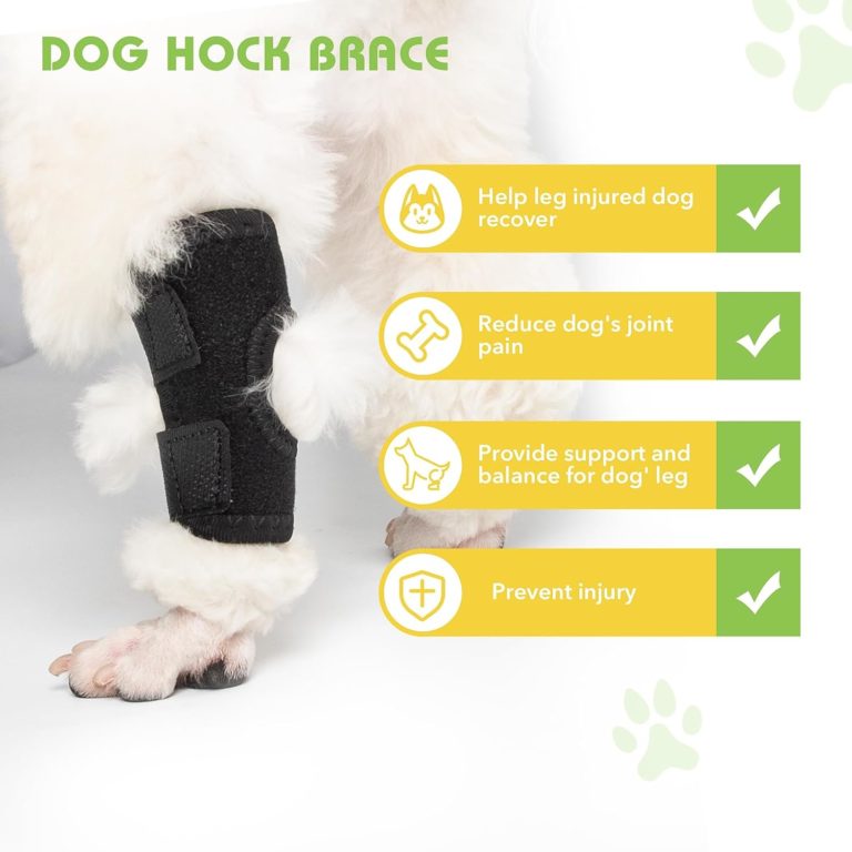 Xpetkit Dog Leg Braces Review