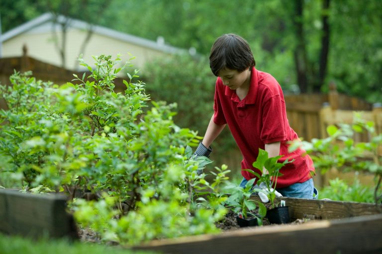 Gardening and Your Mental Health